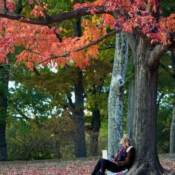 <i class="fa-regular fa-image orange1"></i> Desfrutando o outono, Central Park (Nova Iorque, Nova Iorque, EUA). / <em>Reading a book in the Fall, Central Park (New York, New York, USA).</em> Edu Moreira - EUA - Nova Iorque