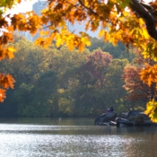 <i class="fa-regular fa-image orange1"></i> Namorados, Central Park (Nova Iorque, Nova Iorque, EUA). / <em>Lovers, Central Park (New York, New York, USA).</em> Edu Moreira - EUA - Nova Iorque