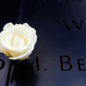 <i class="fa-regular fa-image orange1"></i> Memorial do 11 de Setembro (Nova Iorque, Nova Iorque, EUA). / <em>911 Memorial (New York, New York, USA).</em> Edu Moreira - EUA - Nova Iorque