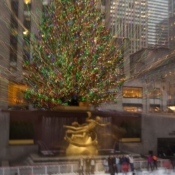 <i class="fa-regular fa-image orange1"></i> Árvore de Natal, Rockfeller Center (Nova Iorque, Nova Iorque, EUA). / <em>Rockfeller Center Christmas tree (New York, New York, USA).</em> Edu Moreira - EUA - Nova Iorque
