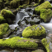 <i class="fa-regular fa-image orange1"></i> Trilha das Cataratas Sol Duc, Olympic National Park (Washington, EUA). / <em>Sol Duc Falls Trail, Olympic National Park (Washington, USA).</em> Edu Moreira - EUA - Washington