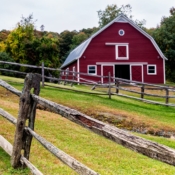 <i class="fa-regular fa-image orange1"></i> Celeiro em Pomfret (Windsor, Vermont, EUA). / <em>Barn in Pomfret (Windsor, Vermont, USA).</em> Edu Moreira - EUA - Vermont