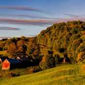 <i class="fa-regular fa-image orange1"></i> A fazenda Jenne Farm serviu como cenário nos filmes Forrest Gump e Funny Farm (Reading, Vermont, EUA). / <em>The Jenne Farm served as the setting for the movies Forrest Gump and Funny Farm (Reading, Vermont, USA).</em> Edu Moreira - EUA - Vermont