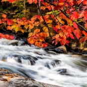 <i class="fa-regular fa-image orange1"></i> Águas sob a Power House Covered Bridge (Johnson, Vermont, EUA). / <em>Waters under the Power House Covered Bridge (Johnson, Vermont, USA).</em> Edu Moreira - EUA - Vermont
