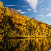 <i class="fa-regular fa-image orange1"></i> Folhagem de outono ao longo das margens do Rio Ottauquechee (Woodstock, Vermont, EUA). / <em>Fall foliage along the banks of the Ottauquechee River (Woodstock, Vermont, USA).</em> Edu Moreira - EUA - Vermont