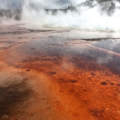 <i class="fa-regular fa-image orange1"></i> Grand Prismatic Spring, Yellowstone National Park (Wyoming, EUA / <em>USA</em>). Edu Moreira - EUA - Yellowstone e Grand Teton