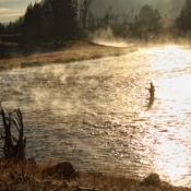 <i class="fa-regular fa-image orange1"></i> Amanhecer no Madison River, Yellowstone National Park (Wyoming, EUA). / <em>Sunrise in Madison River, Yellowstone National Park (Wyoming, USA).</em> Edu Moreira - EUA - Yellowstone e Grand Teton