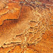 <i class="fa-regular fa-image orange1"></i> Formações calcáreas, Mammoth Springs, Yellowstone National Park (Wyoming, EUA). / <em>Calcareous formations, Mammoth Springs, Yellowstone National Park (Wyoming, USA).</em> Edu Moreira - EUA - Yellowstone e Grand Teton