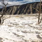 <i class="fa-regular fa-image orange1"></i> Mammoth Springs, Yellowstone National Park (Wyoming, EUA / <em>USA</em>). Edu Moreira - EUA - Yellowstone e Grand Teton