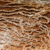 <i class="fa-regular fa-image orange1"></i> Formações calcáreas, Mammoth Springs, Yellowstone National Park (Wyoming, EUA). / <em>Calcareous formations, Mammoth Springs, Yellowstone National Park (Wyoming, USA).</em> Edu Moreira - EUA - Yellowstone e Grand Teton
