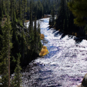 <i class="fa-regular fa-image orange1"></i> Snake River, Yellowstone National Park (Wyoming, EUA / <em>USA</em>). Edu Moreira - EUA - Yellowstone e Grand Teton