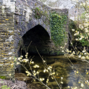 <i class="fa-regular fa-image orange1"></i> Hellandbridge é um pitoresco vilarejo e uma ponte medieval do século XV localizada no condado da Cornualha (Cornualha, Inglaterra, Grã-Bretanha). / <em>Hellandbridge is a picturesque village and 15th century medieval bridge located in the county of Cornwall (Cornwall, England, Great Britain).</em> Edu Moreira - Grã-Bretanha