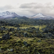 <i class="fa-regular fa-image orange1"></i> Campos de lava na península de Snaefellsnes (Islândia). / <em>Lava fields on the Snaefellsnes peninsula (Iceland).</em> Edu Moreira - Islândia