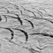 <i class="fa-regular fa-image orange1"></i> Espuma de ondas do mar da praia de Reynisfjara em Vík (Islândia). / <em>Sea wave foam of Reynisfjara beach in Vík (Iceland).</em> Edu Moreira - Islândia