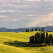 <i class="fa-regular fa-image orange1"></i> Val d´Orcia é caracterizada pelas colinas cuidadosamente cultivadas, salpicadas com cidades e vilas pitorescas como Pienza, Radicofani e Montalcino (Val d´Orcia, Toscana, Itália). / <em>The Val d'Orcia is characterized by carefully cultivated hills dotted with picturesque towns and villages like Pienza, Radicofani and Montalcino (Val d'Orcia, Tuscany, Italy).</em> Edu Moreira - Itália