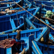 <i class="fa-regular fa-image orange1"></i> Barcos de pesca (Essaouira, Marrocos). / <em>Fishing boats (Essaouira, Morocco).</em> Edu Moreira - Marrocos