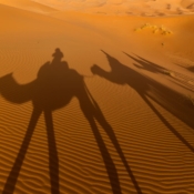<i class="fa-regular fa-image orange1"></i> Sombras da caravana de camelos (Merzouga, Marrocos). / <em>Camel caravan shadows (Merzouga, Morocco).</em> Edu Moreira - Marrocos