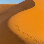 <i class="fa-regular fa-image orange1"></i> Dunas de Erg Chebbi (Merzouga, Marrocos). / <em>Erg Chebbi dunes (Merzouga, Morocco).</em> Edu Moreira - Marrocos