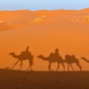 <i class="fa-regular fa-image orange1"></i> Sombras da caravana de camelos (Merzouga, Marrocos). / <em>Camel caravan shadows (Merzouga, Morocco).</em> Edu Moreira - Marrocos