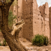 <i class="fa-regular fa-image orange1"></i> Ruínas de uma vila de adobe perto da cidade de Ouarzazate (Marrocos). / <em>Ruins of an adobe village near the city of Ouarzazate (Morocco).</em> Edu Moreira - Marrocos