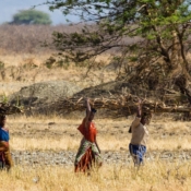 <i class="fa fa-photo orange1" aria-hidden="true"></i> Mulheres Massai (Arusha, Tanzânia). / <em>Maasai women (Arusha, Tanzania).</em> Edu Moreira - Tanzânia