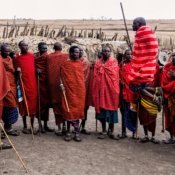 <i class="fa fa-photo orange1" aria-hidden="true"></i> Adumu: dança dos guerreiros Massai (Área de Conservação Ngorongoro, Tanzânia). / <em>Adumu: Maasai warriors dance (Ngorongoro Conservation Area, Tanzania).</em> Edu Moreira - Tanzânia